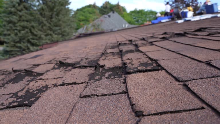 Fast & Reliable Emergency Roof Repairs in Blackwater, AZ